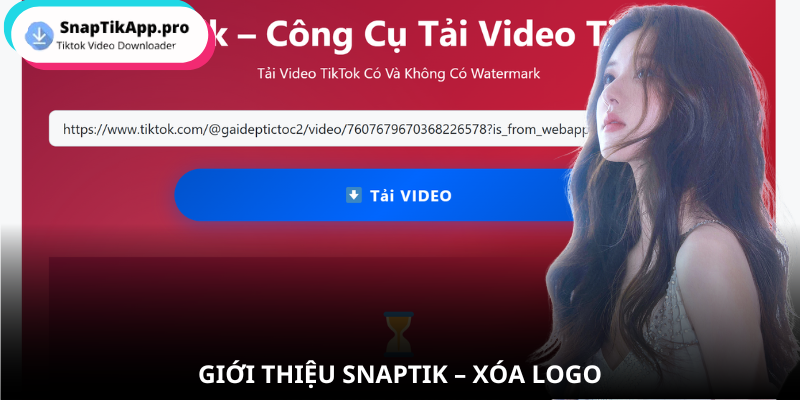gioi-thieu-snaptik-xoa-logo