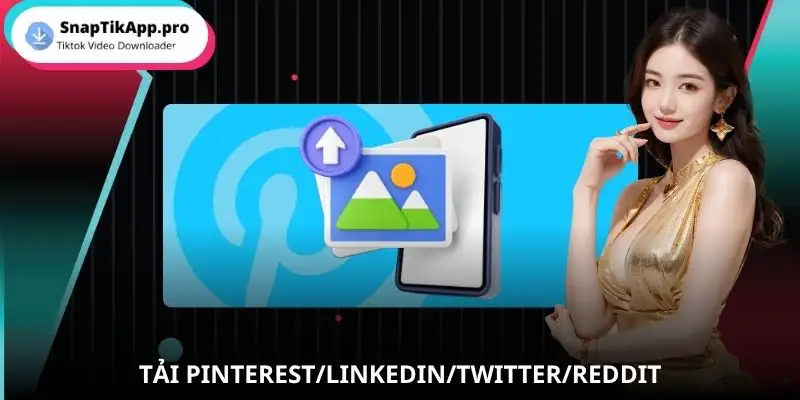tai-pinterest-linkedin-twitter-reddit