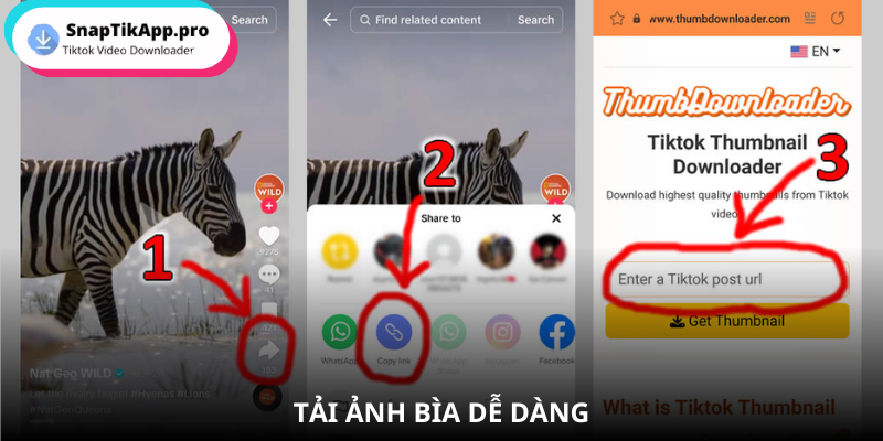 thumbnail-tiktok-3-buoc